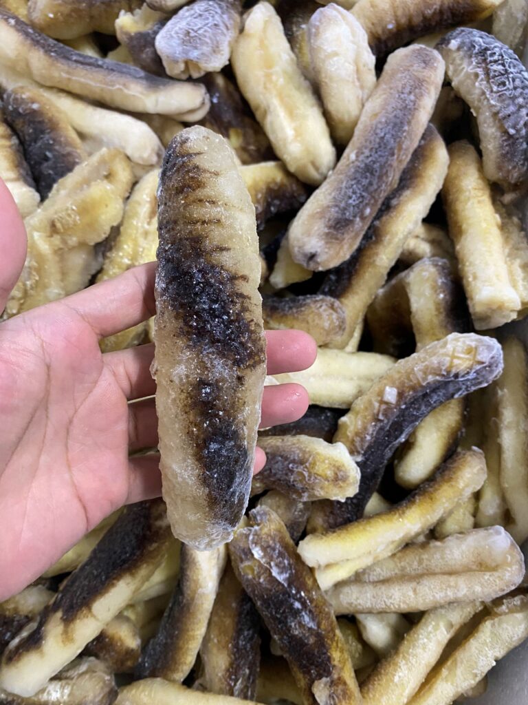 SriLanka_Sandfish_chitiao