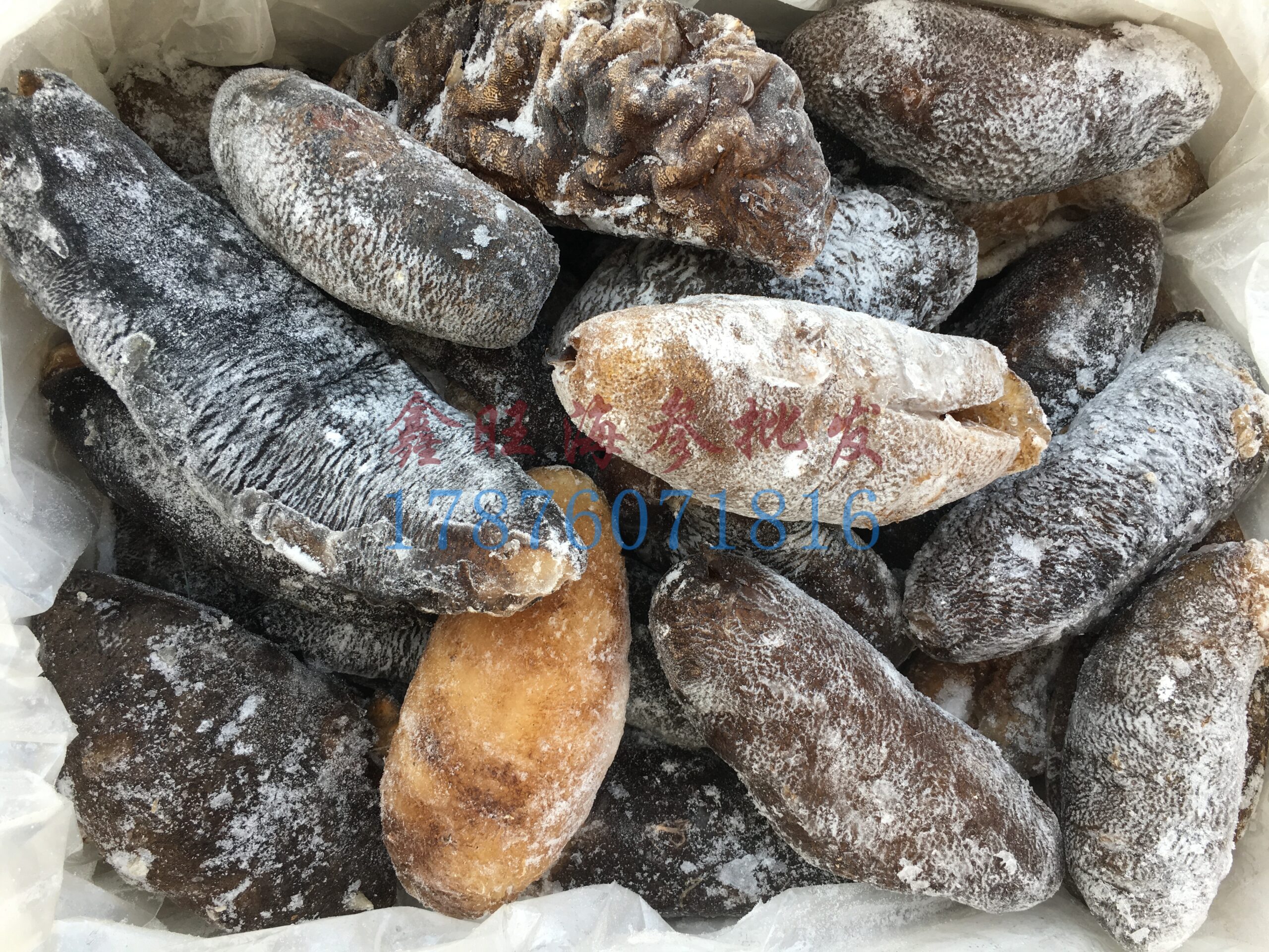 large_blackstane_fish_wuyuan