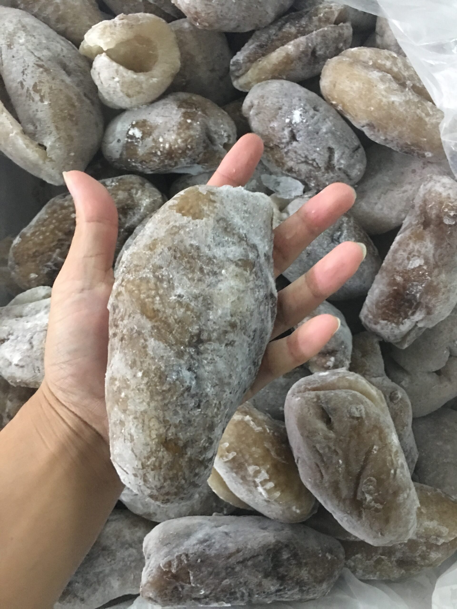 blackstone_ball_fish