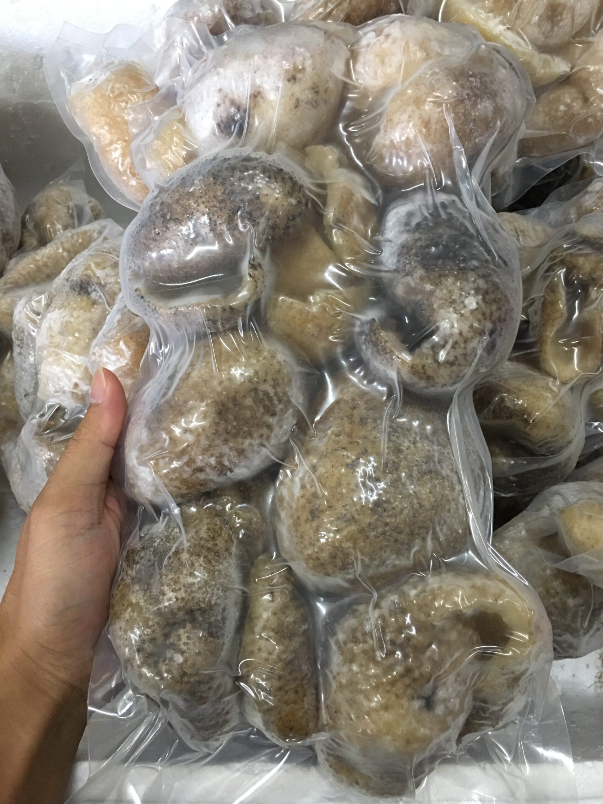 blackstone_ball_fish
