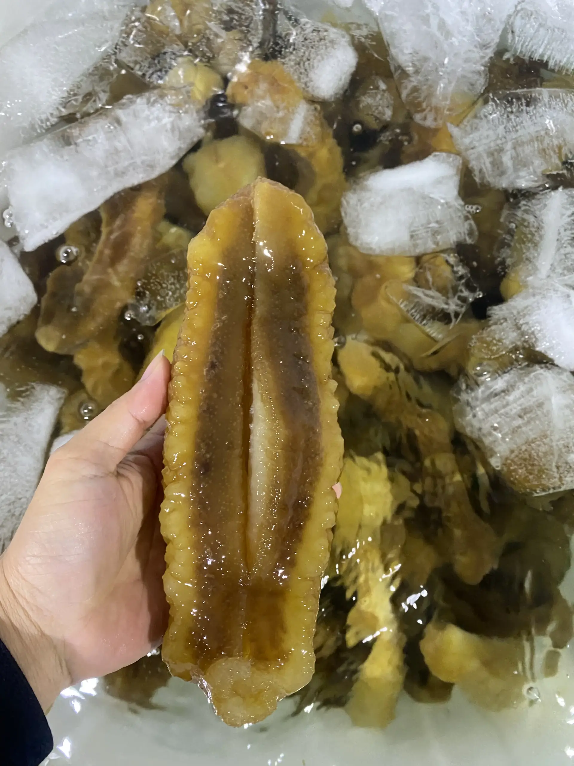  large_Teatcurryfish
