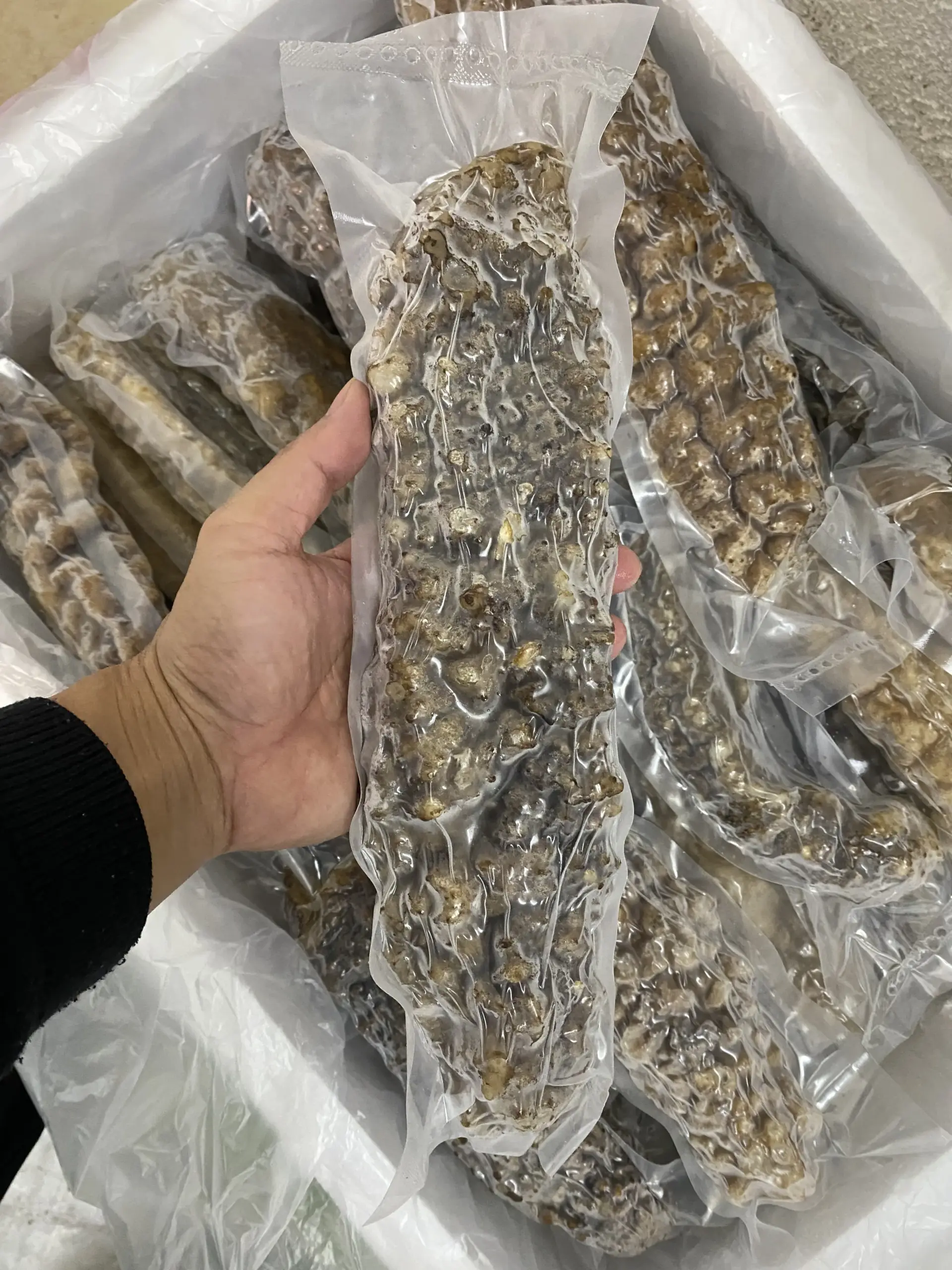 large_BurmaCurryfish