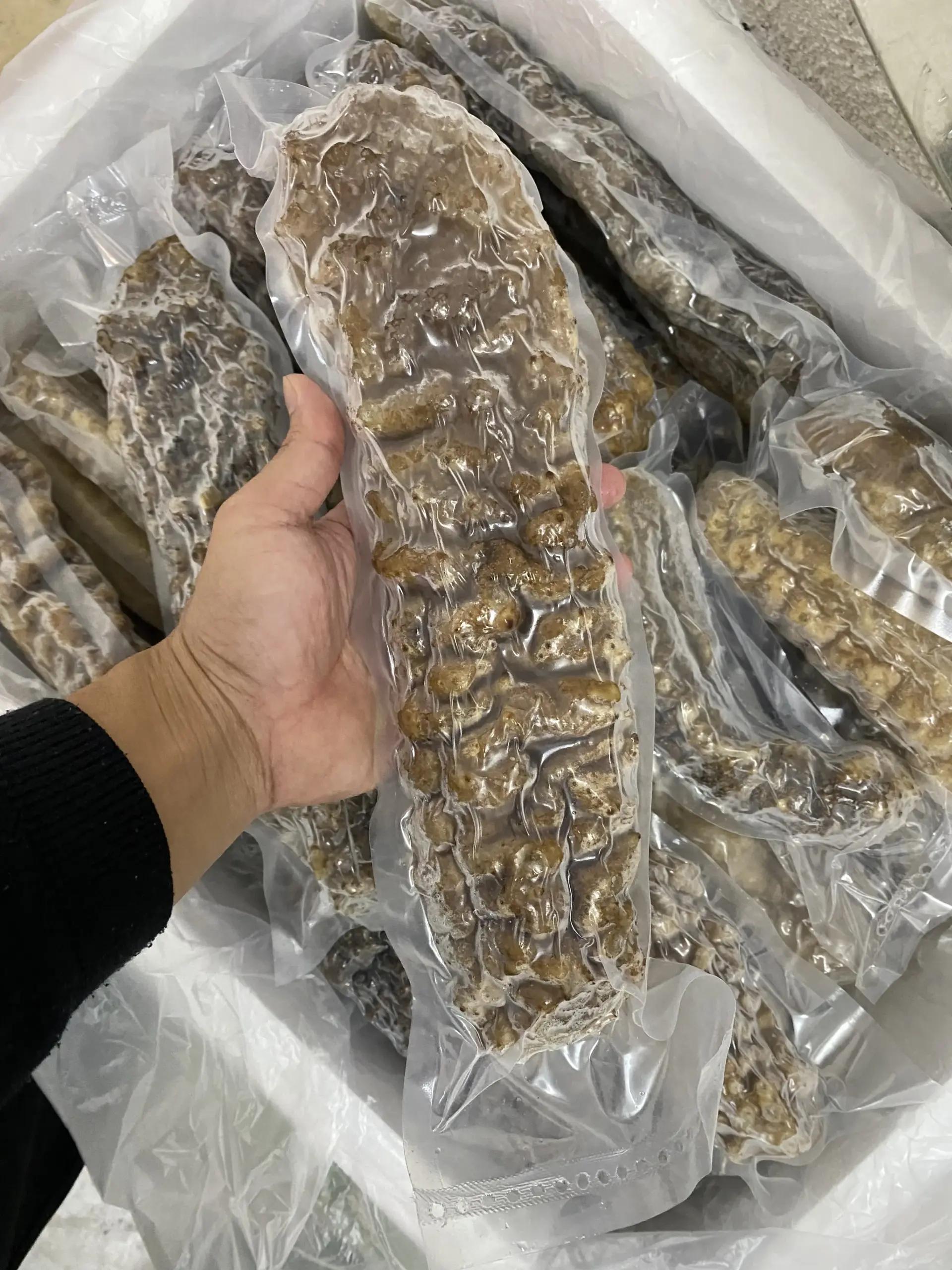 large_BurmaCurryfish