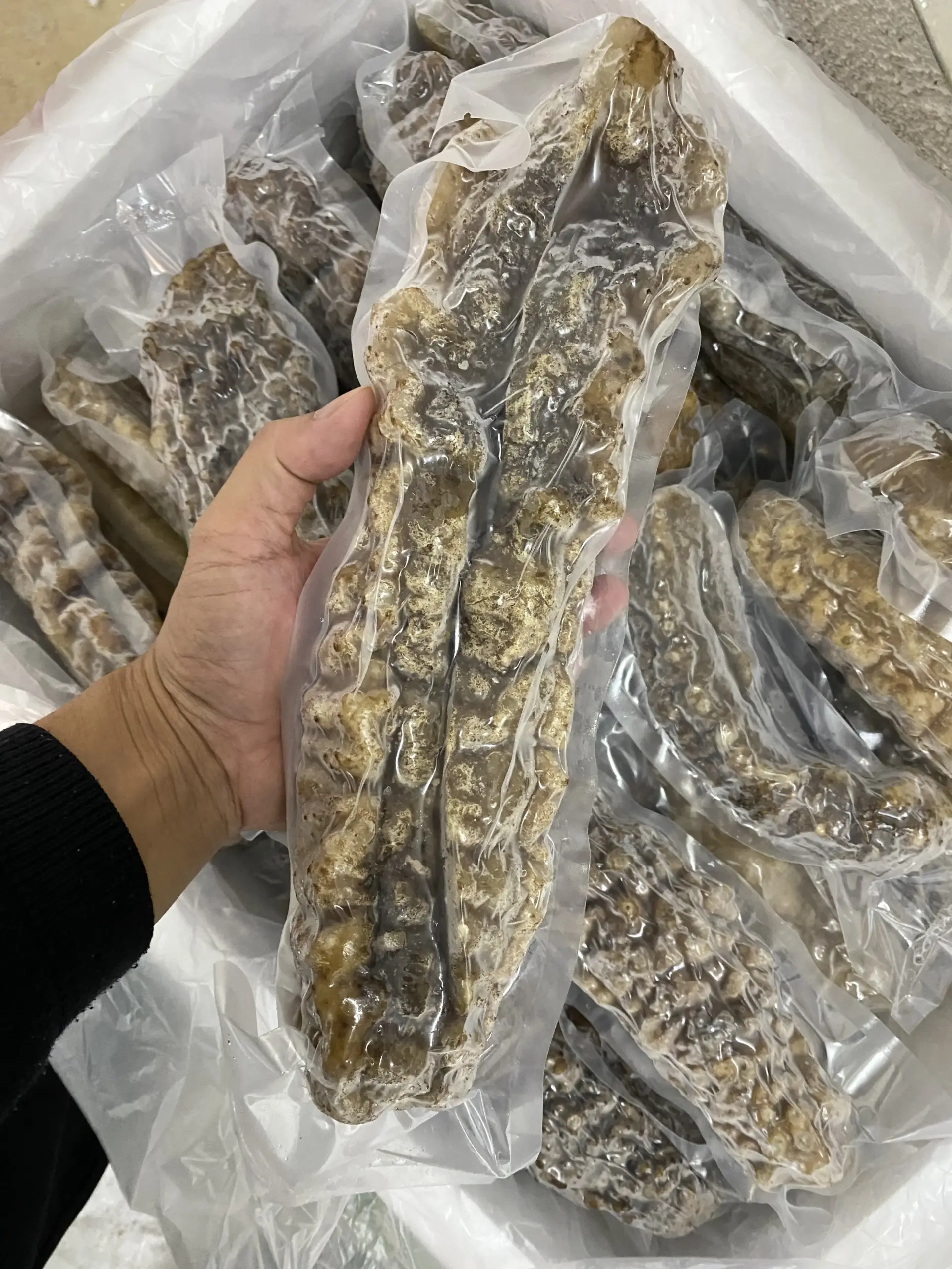 large_BurmaCurryfish