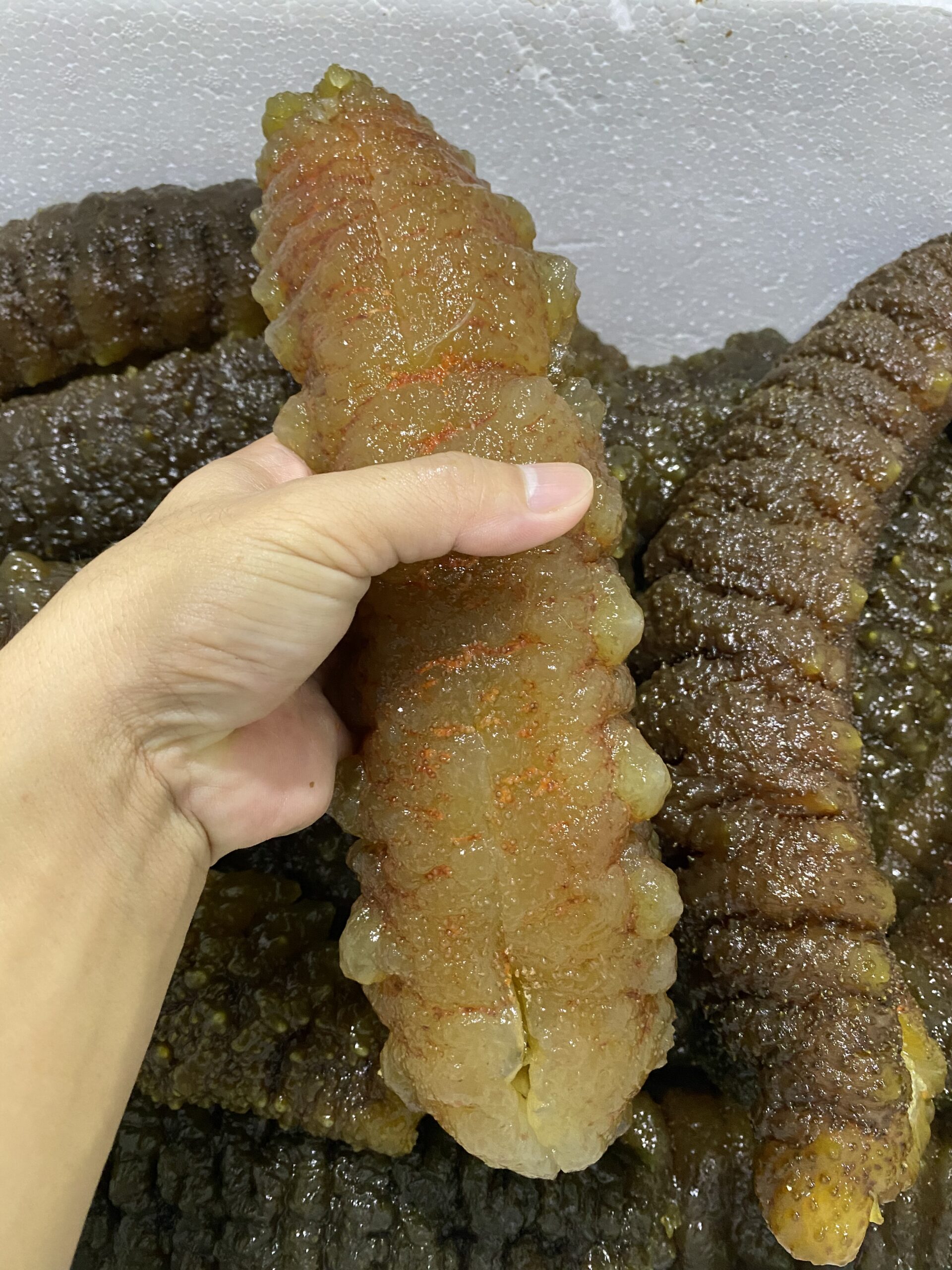  hightquality_southamerican_curryfish