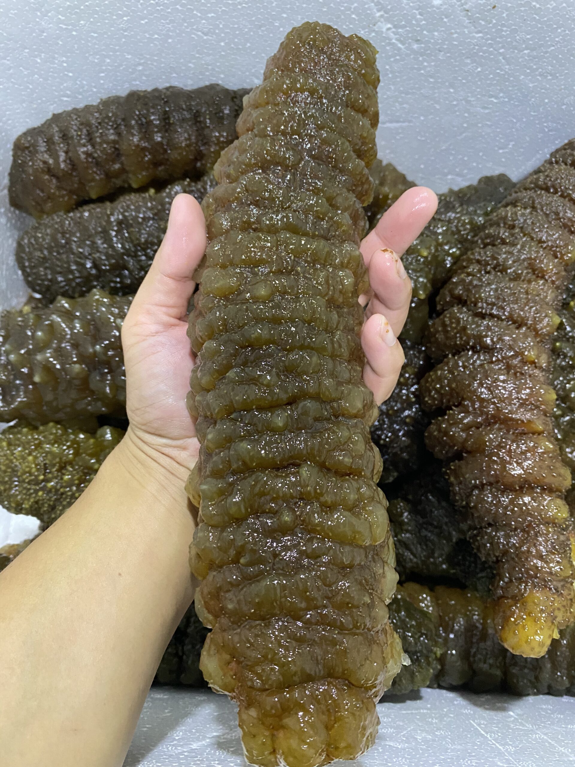  hightquality_southamerican_curryfish