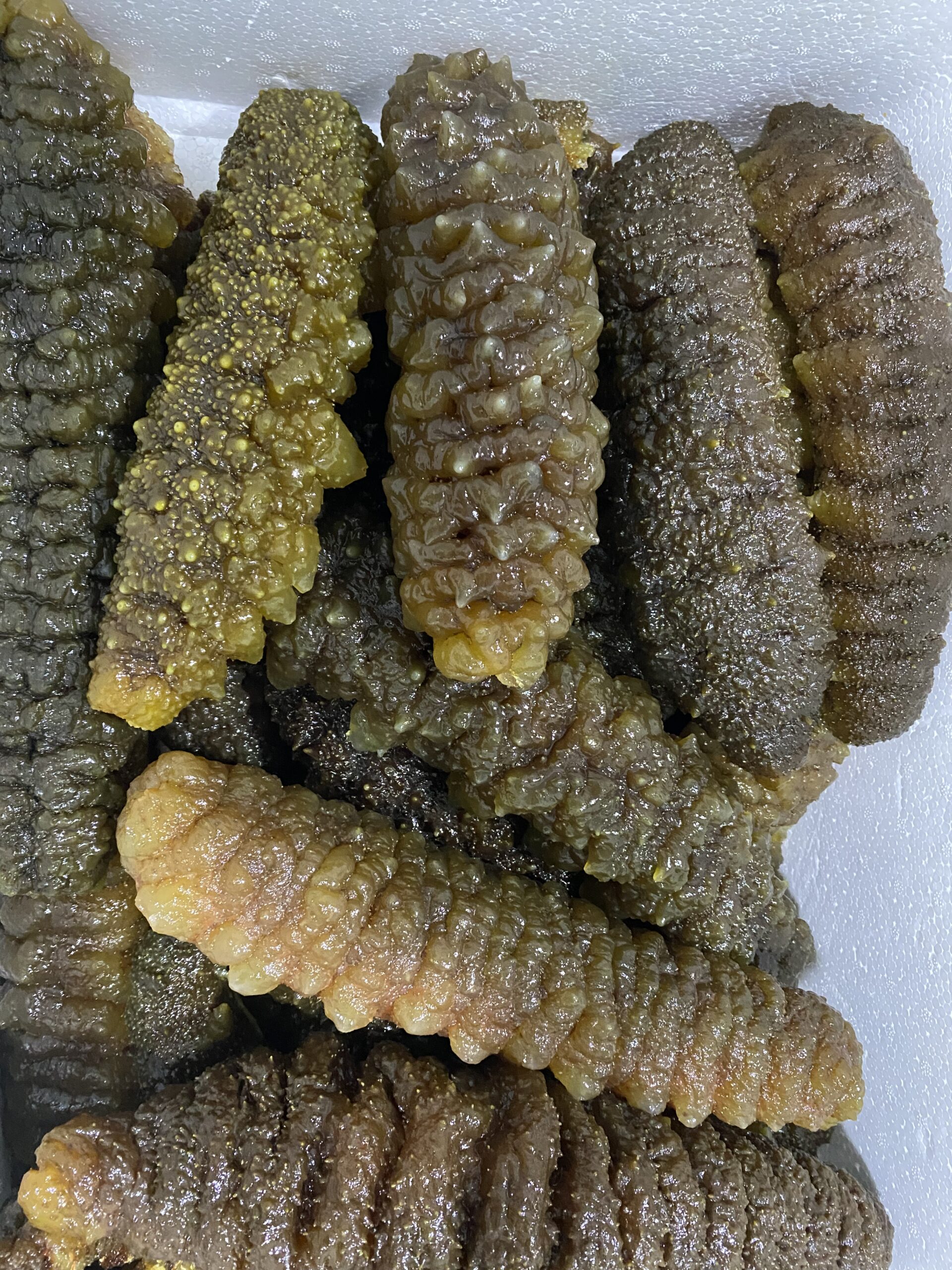  hightquality_southamerican_curryfish