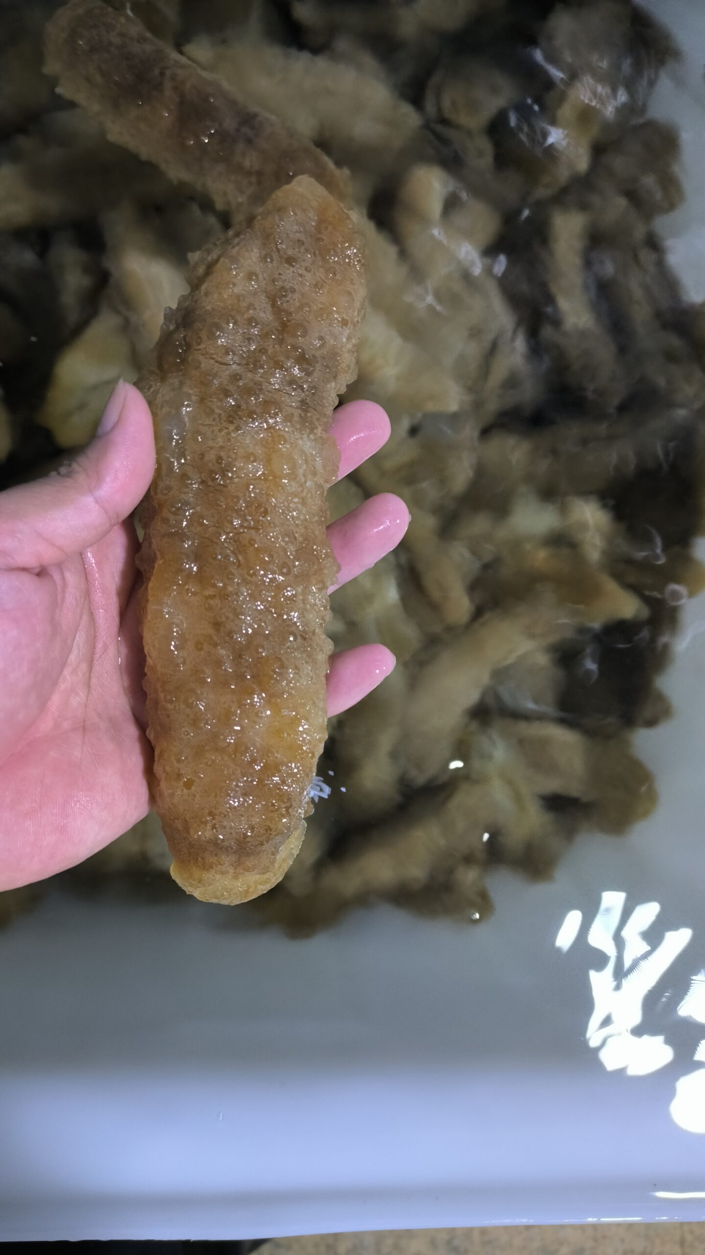 mid_midest_curryfish
