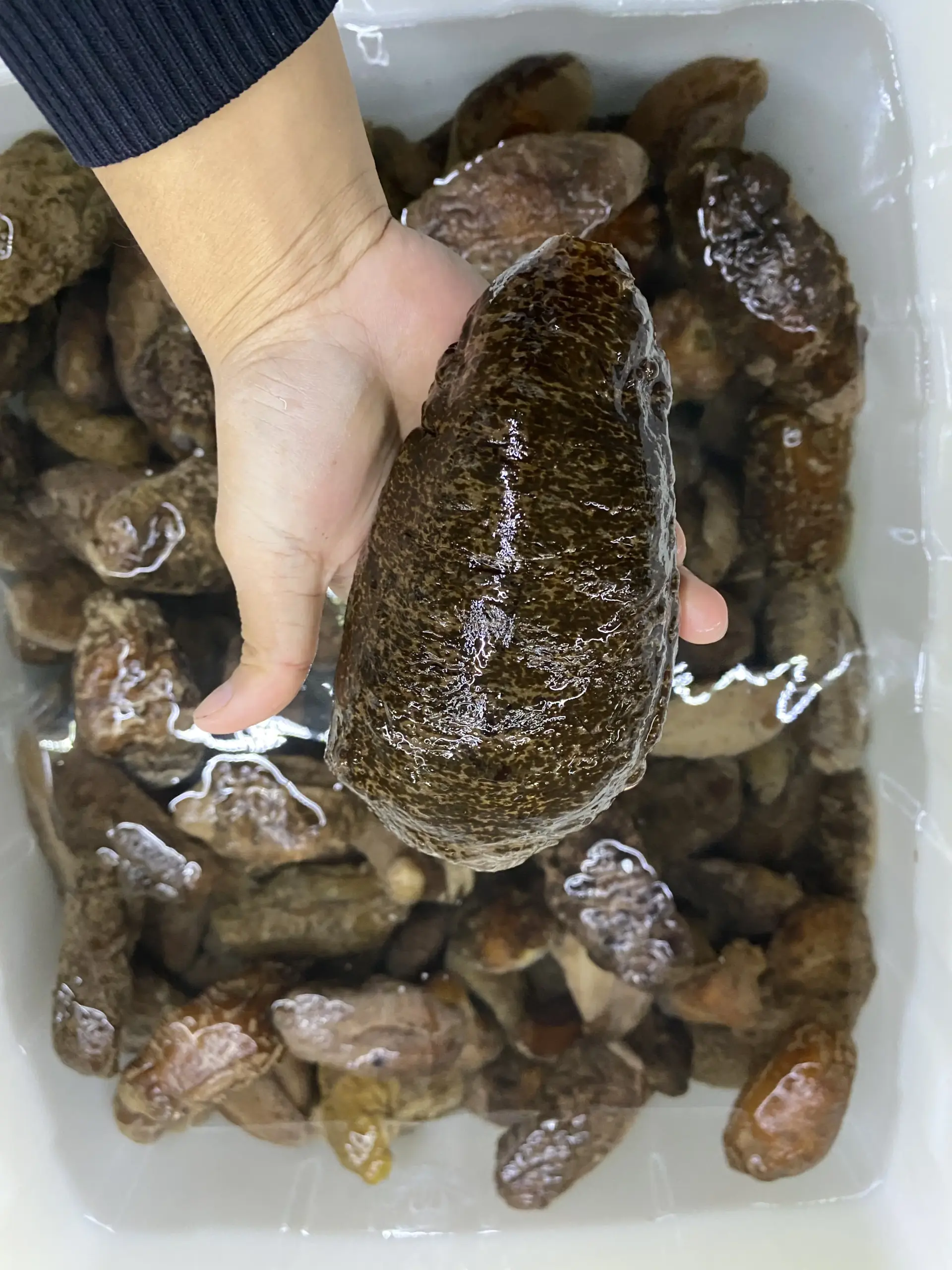 large_blackstane_fish_wuyuan