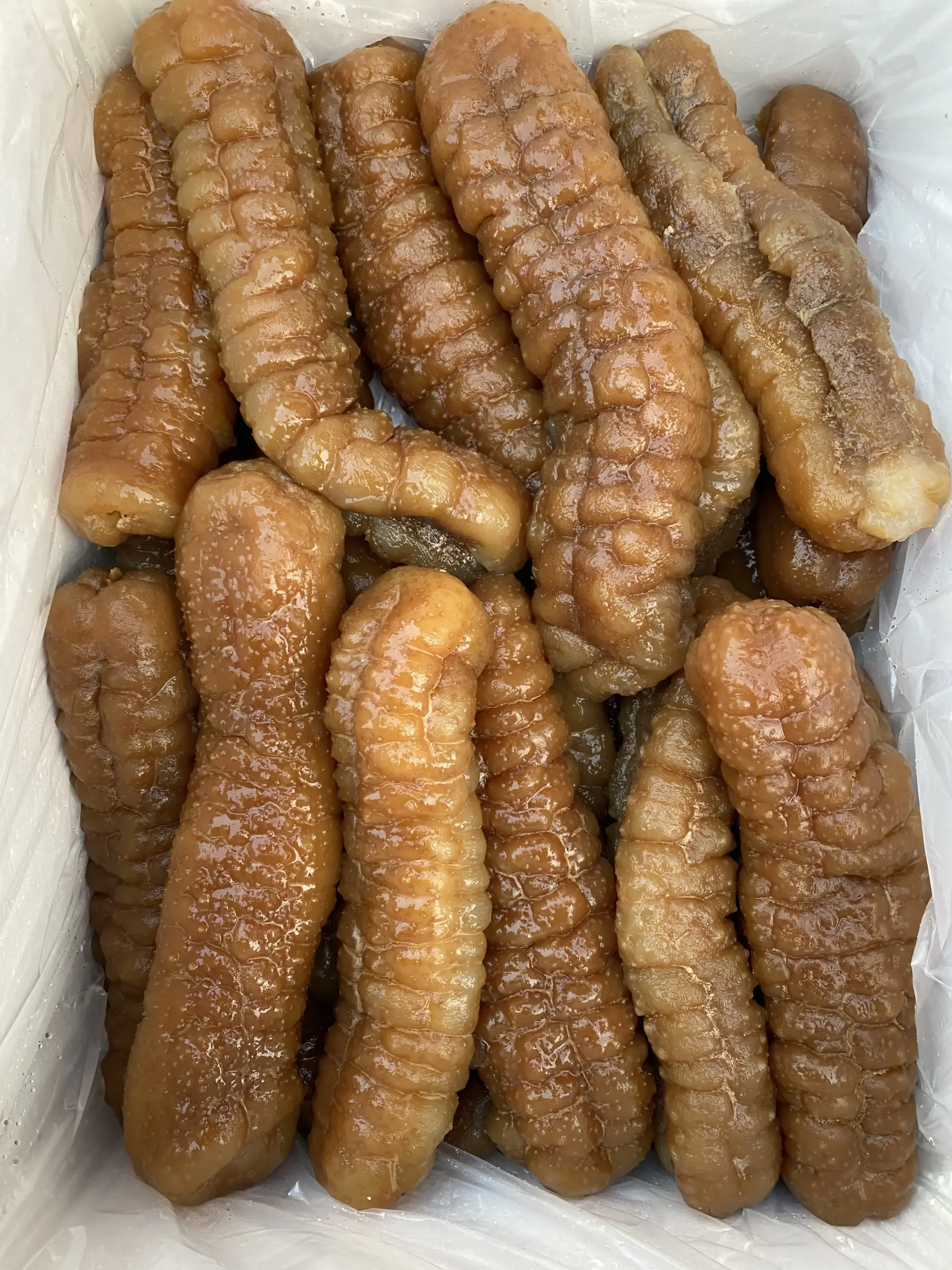  large_Teatcurryfish