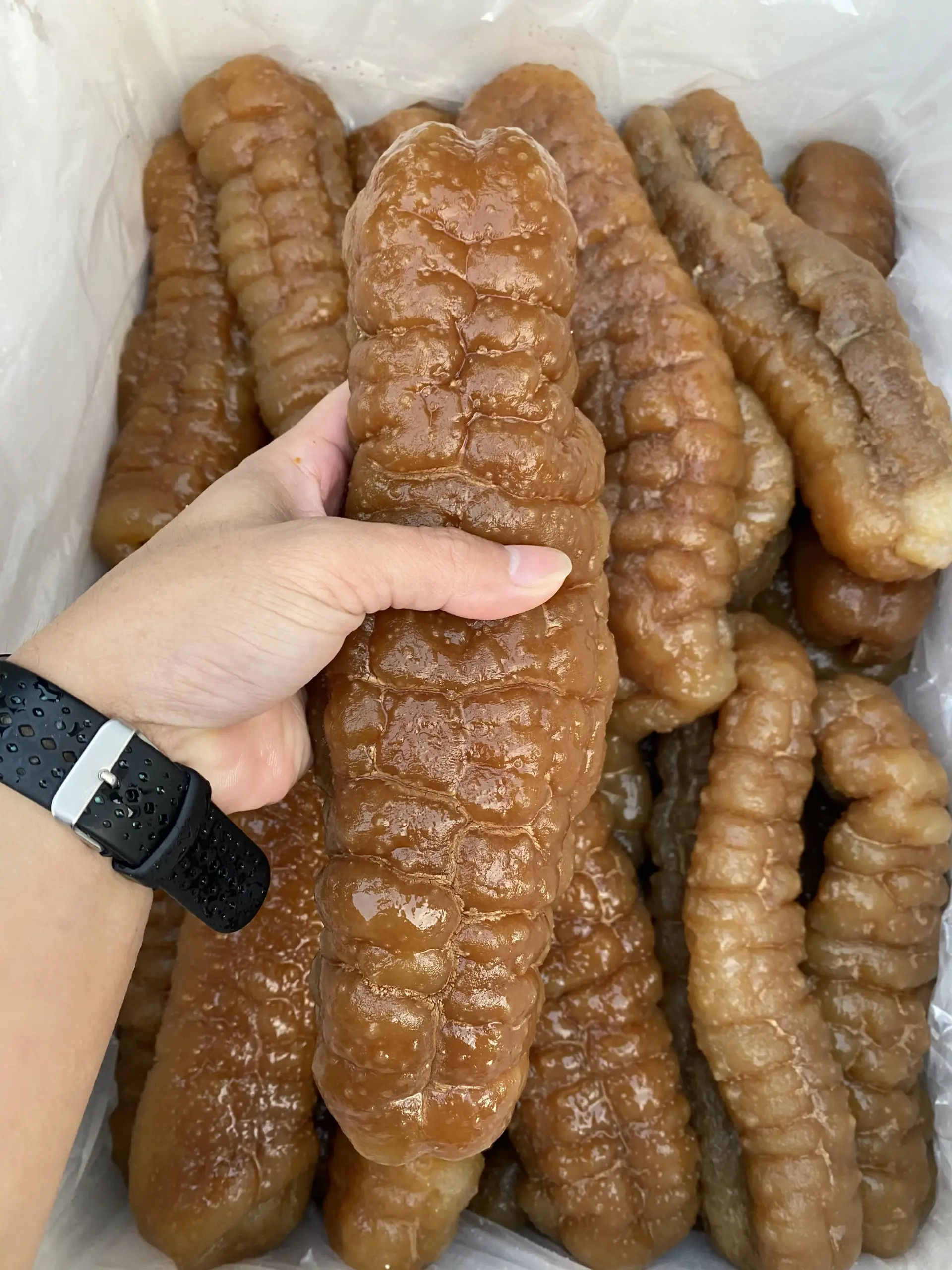  large_Teatcurryfish
