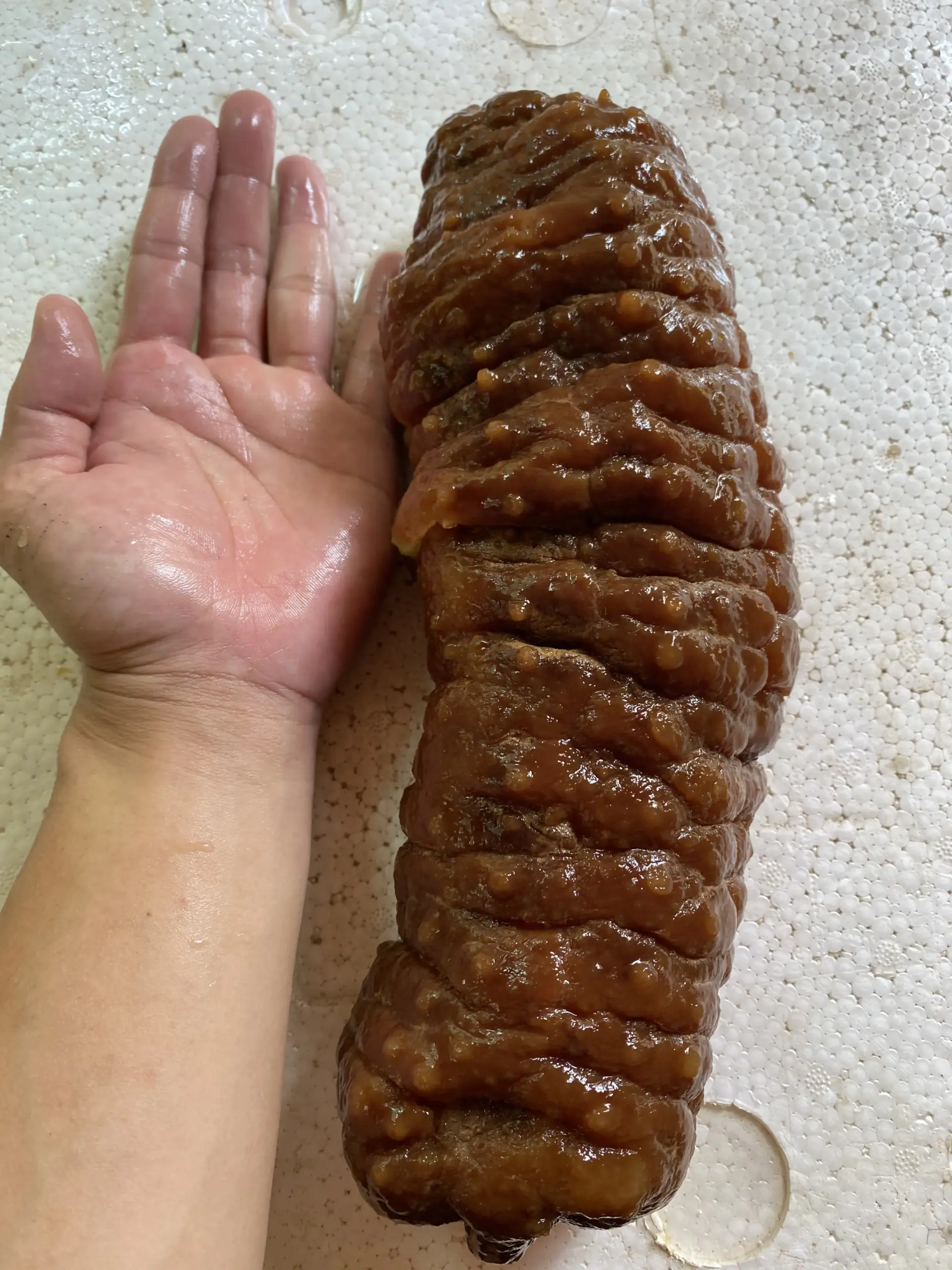  large_Teatcurryfish