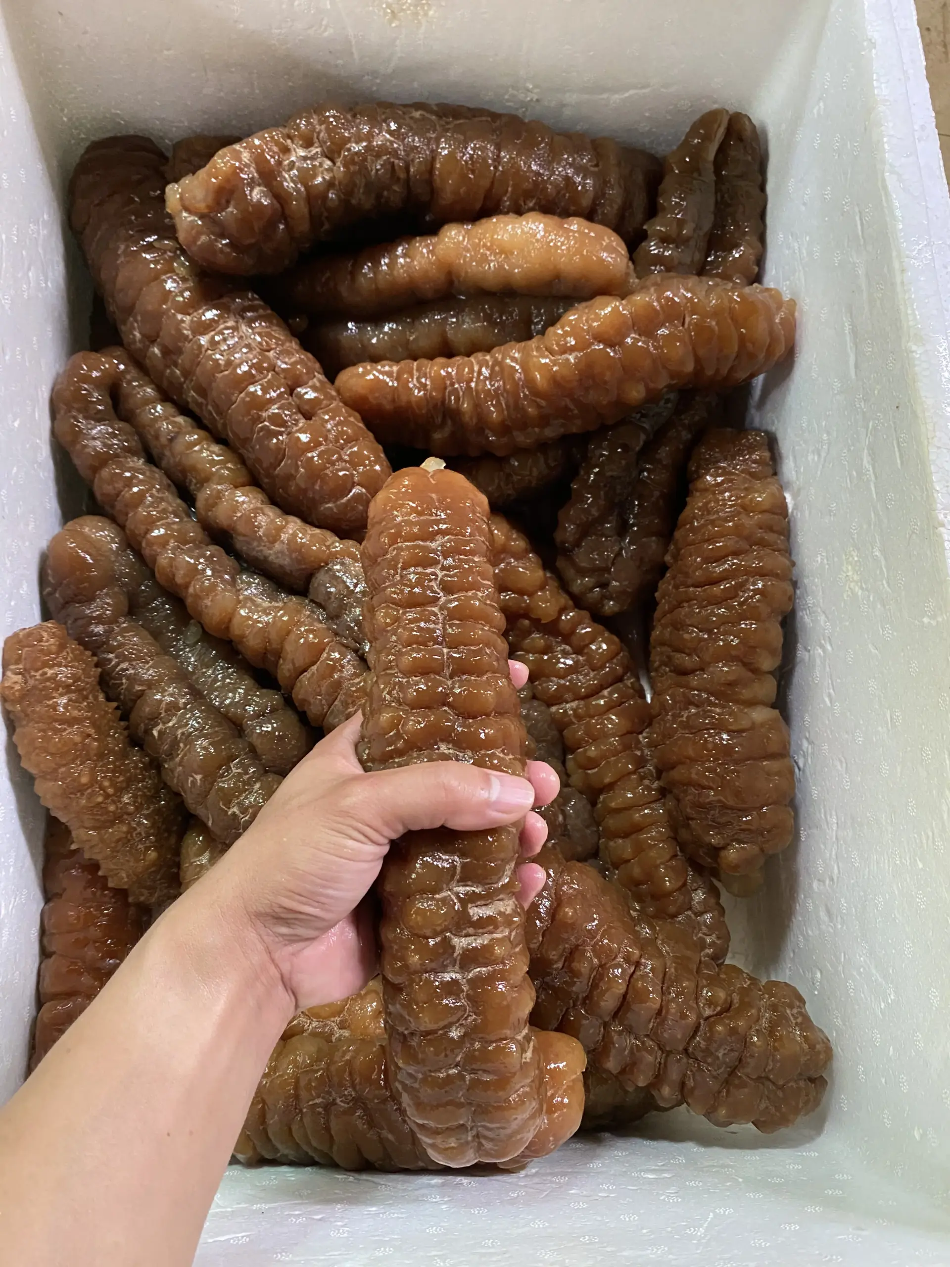  large_Teatcurryfish